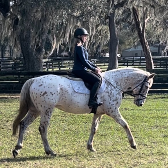 Meet your Posher, Heidi - Picture 1 of 1